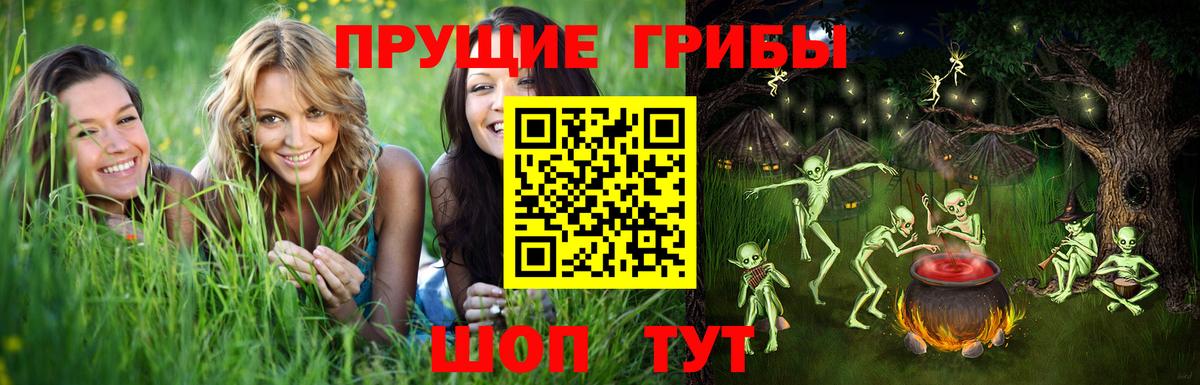 Галлюциногенные грибы ЛСД Анапа